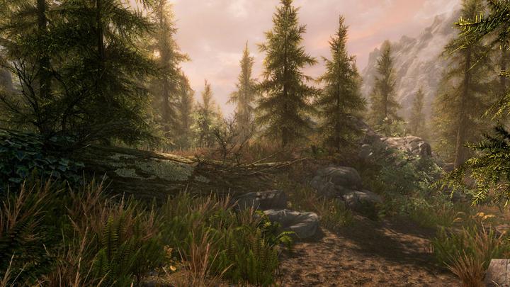 Actual product image Microsoft The Elder Scrolls V: Skyrim Special Edition (Xbox Series X, Xbox Series S, Xbox One X, Xbox One S)