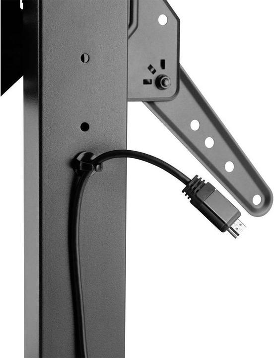 Produktbild SpeaKa Professional SP-TVS-150 (Universal, 55", 40 kg)