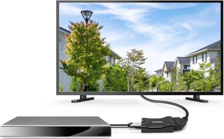 Produktbild SpeaKa Professional HDMI zu SCART (0.09 m, HDMI)