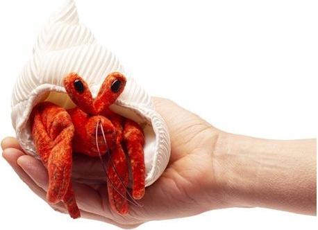 Actual product image Folkmanis Finger puppet hermit crab