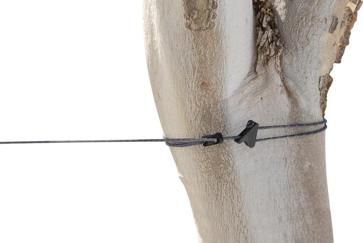 Actual product image Sea To Summit The Clothesline