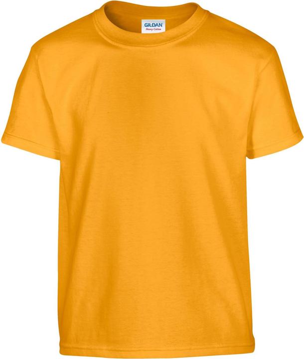 Gildan TShirt (XL)