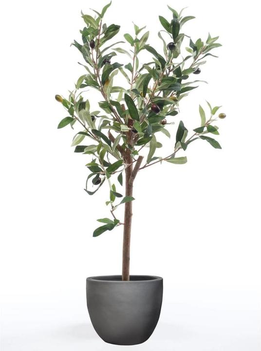 Emerald Plante artificielle (65 cm)