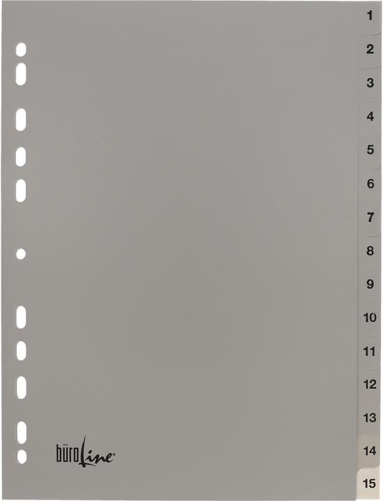 Actual product image BüroLine Index PP grey A4