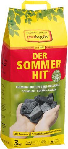 Produktbild ProFagus Holzkohle Sommerhit 3 kg (3 kg)
