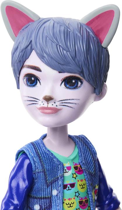 Actual product image Enchantimals GLAM PARTY™ COLE CAT™ Doll