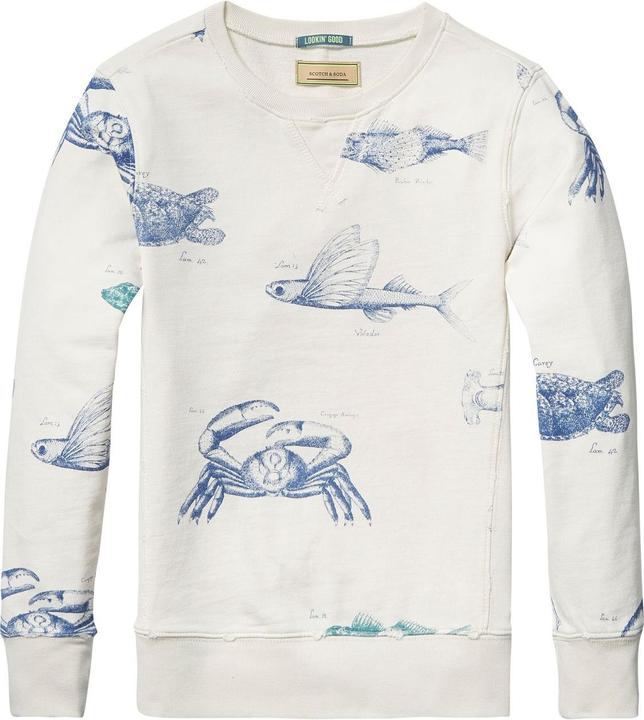 Scotch Shrunk Crew Neck (14)