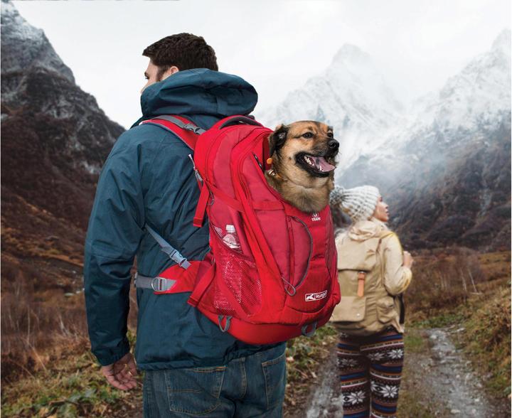 Actual product image Kurgo G-Train K9 (Dog, Safety closure)