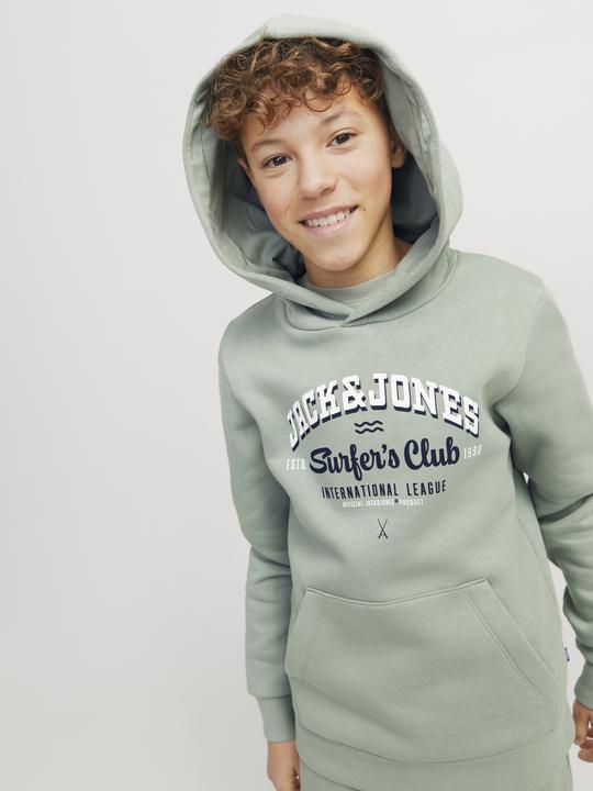 Actual product image Jack & Jones JJELOGO SWEAT HOOD 2 COL 24/25 NOOS JNR (164)