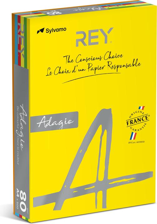Actual product image Rey Coloured paper RYADA080X911 Coloured assorted 80 gsm (80 g/m², 500 x, A4)