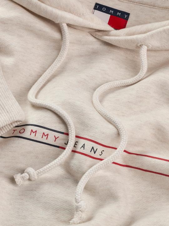 Produktbild Tommy Jeans Tjm Reg Entry Graphic Hoodie Ext (S)