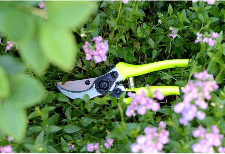 Produktbild Burgon & Ball FloraBrite Gartenschere
