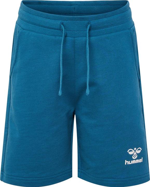 Actual product image hummel Hmlflow Shorts (134)