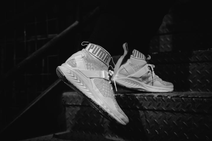 Image du produit Puma Ignite EvoKNIT (42)