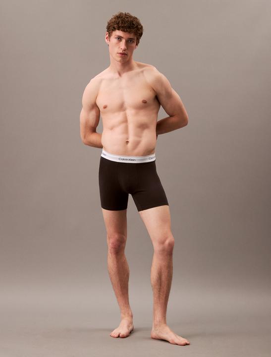 Immagine prodotto Calvin Klein Boxer Brief 3pk (XS)