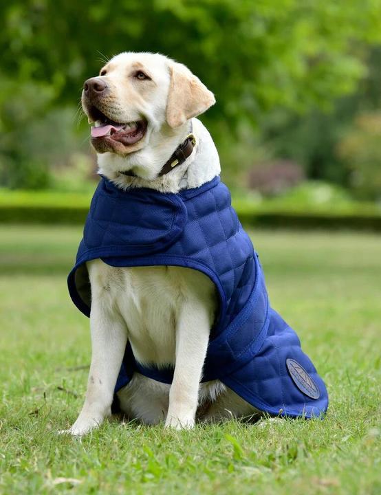 Actual product image Weatherbeeta Comfitec Deluxe Diamond (65, Dog coat)