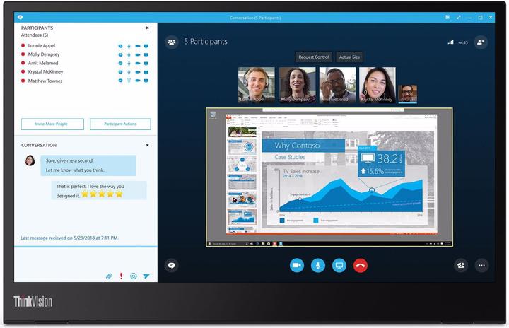 Lenovo ThinkVision M14 (1920 x 1080 Pixel, 14")