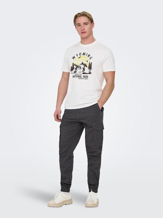 Produktbild Only & Sons Onscarter Life Cargo Cuff 0013 Pant Noos (31)