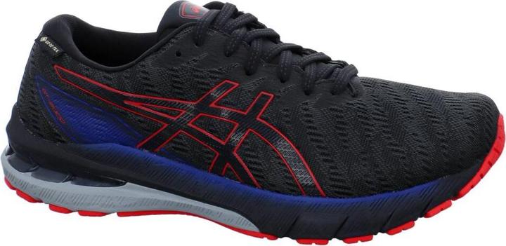 Produktbild ASICS Performance GT-2000 10 (43.5)
