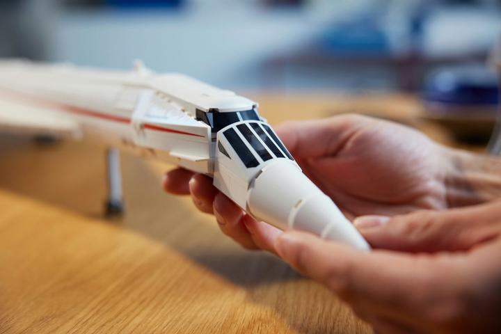 Actual product image LEGO Concorde (10318, LEGO Icons, LEGO Rare Sets)