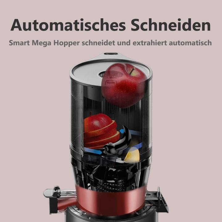 Image du produit Hurom Slow Juicer H320N