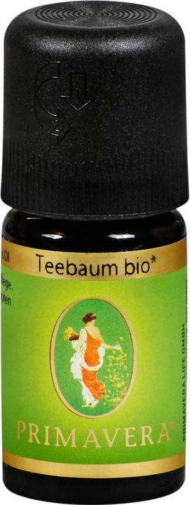 Produktbild Primavera Teebaum bio