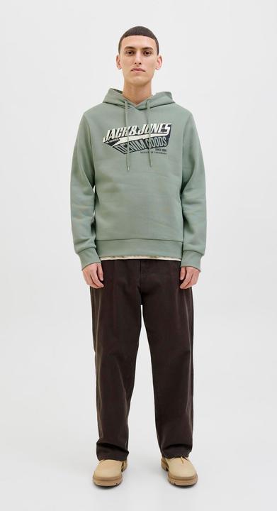 Actual product image Jack & Jones JJELOGO SWEAT HOOD 2 COL 25/26 NOOS (M)