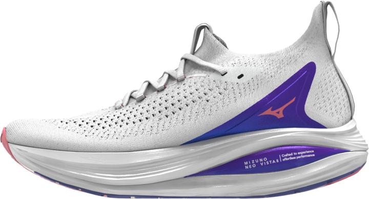 Actual product image Mizuno Neo Vista 2 (40.5)