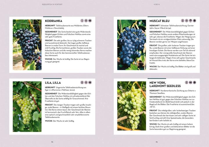 Produktbild Kosmos Wein im Garten anbauen & ernten (Deutsch, Angelika Schartl, Claudia Schick, 2024)