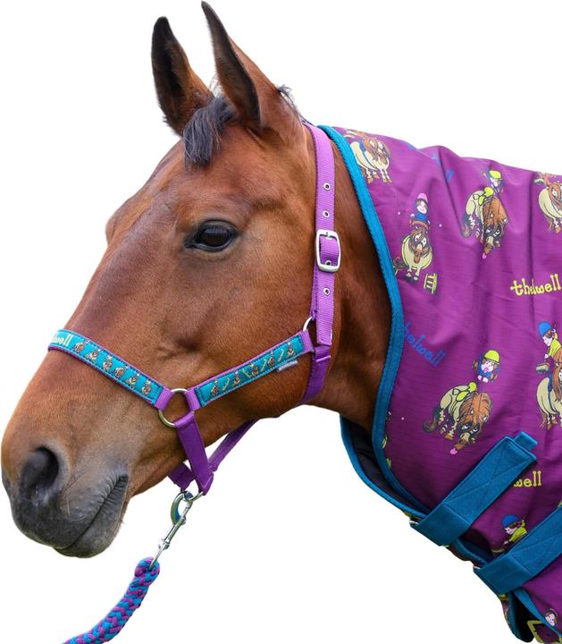 Immagine prodotto Thelwell Cavezza per cavalli Amici dei pony