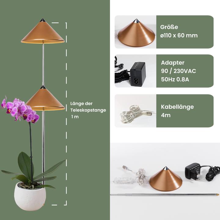 Productafbeelding Colibri Zonne (LED, 230 V)
