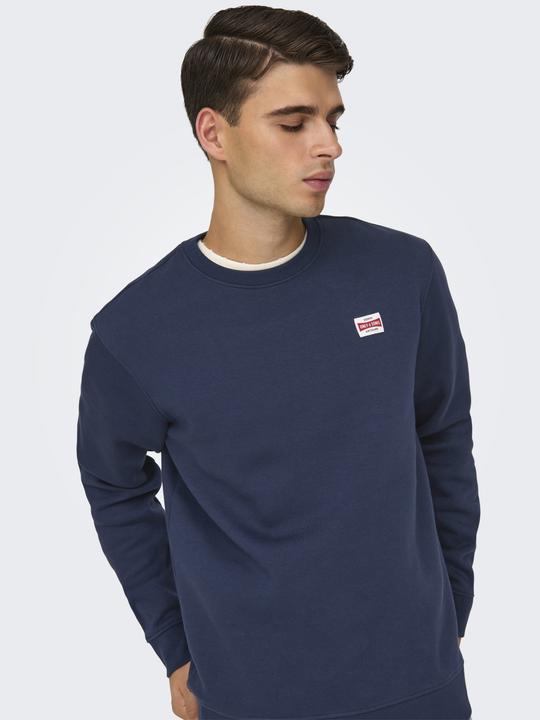 Actual product image Only & Sons ONSDAWSON Sweatshirt Sweatshirt (L)