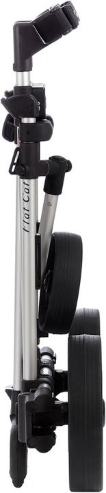 Immagine prodotto FlatCat Testa Li-Fe argento 36 buche