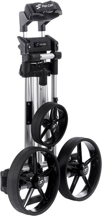 Immagine prodotto FlatCat Testa Li-Fe argento 36 buche