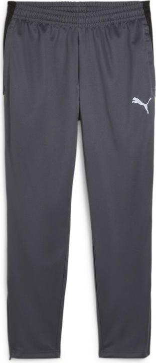 Puma IndividualLIGA Training Pants