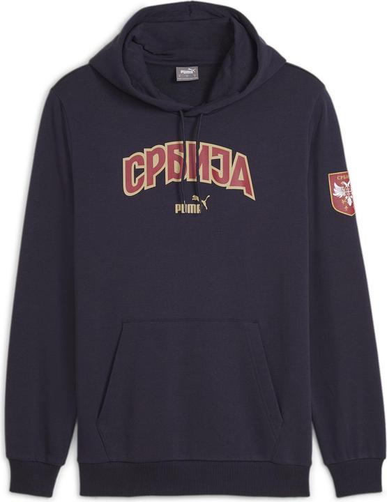Puma FSS Ftblicons Hoody (M)