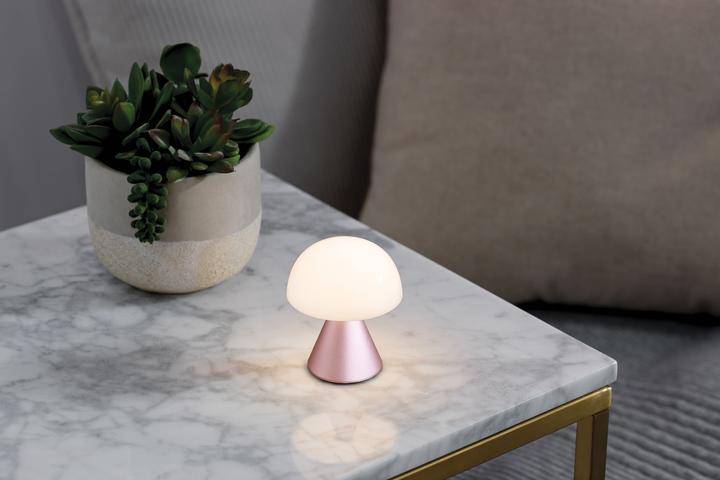Actual product image Lexon Mina
