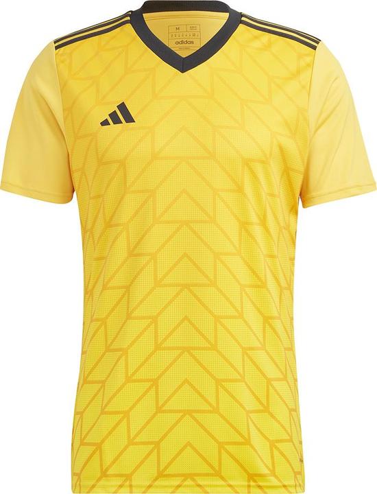 Actual product image adidas Team Icon 23 Jersey (XS)