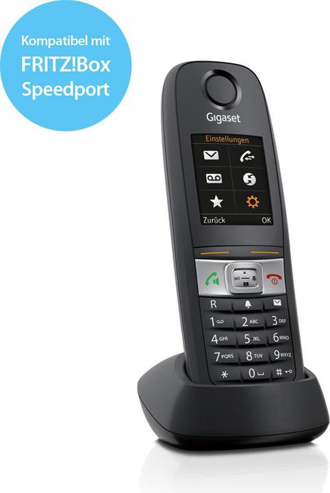 Actual product image Gigaset E630 HX (CH-Version)
