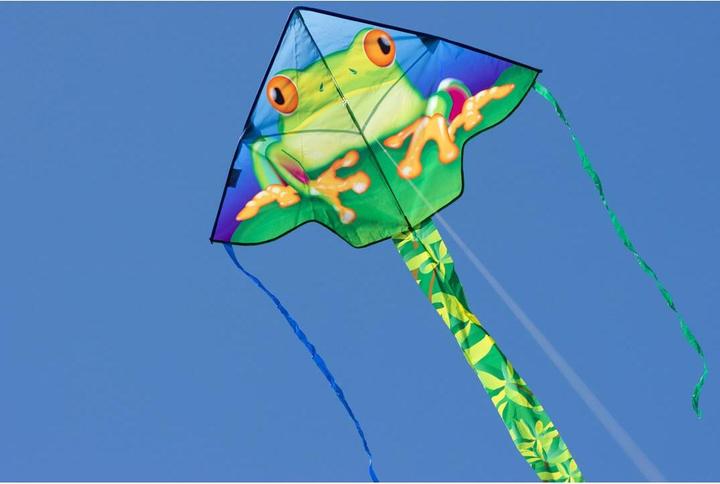 Actual product image Invento Children kite Simple Flyer Froggy