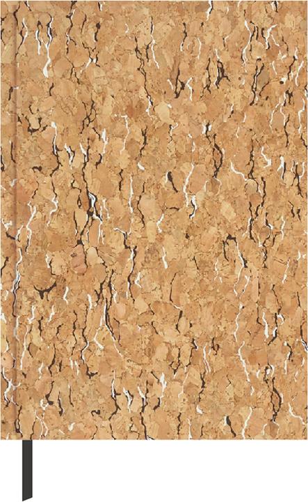 Produktbild Idena Agenda A5 2023 Kork FSC-Mix (A5, Deutsch)