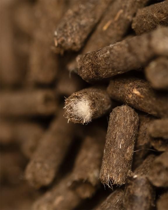Produktbild feey Biodünger Pellets (0.05 kg, 0.10 l)
