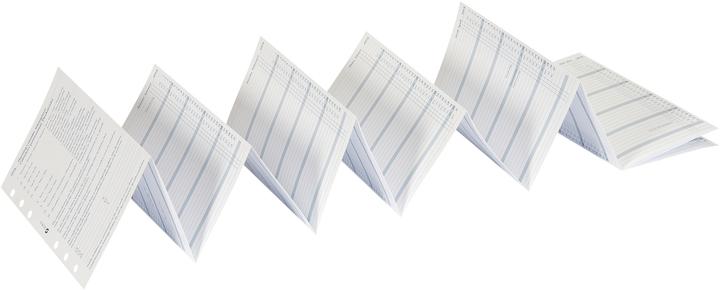 Image du produit Succes Contenu annuel Standard janvier - décembre (9,5 x 17 cm, Allemand, Anglais, Italien, Français)