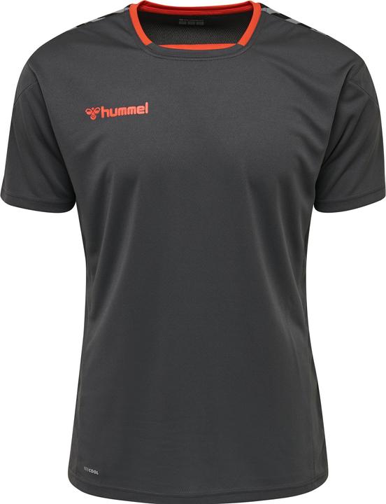 Actual product image hummel Authentic Poly Jersey S/S (L)