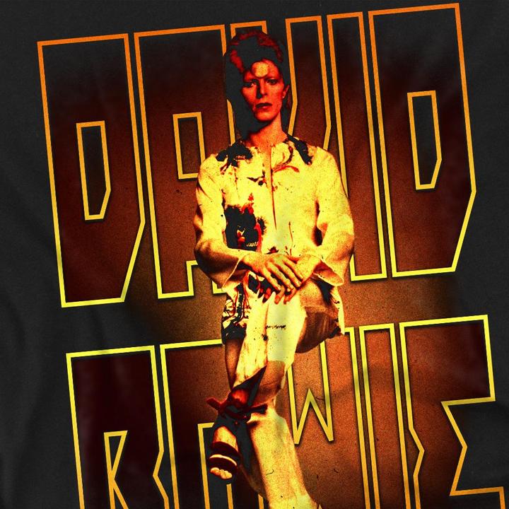 Immagine prodotto David Bowie Perched Maglietta Uomo (4XL)