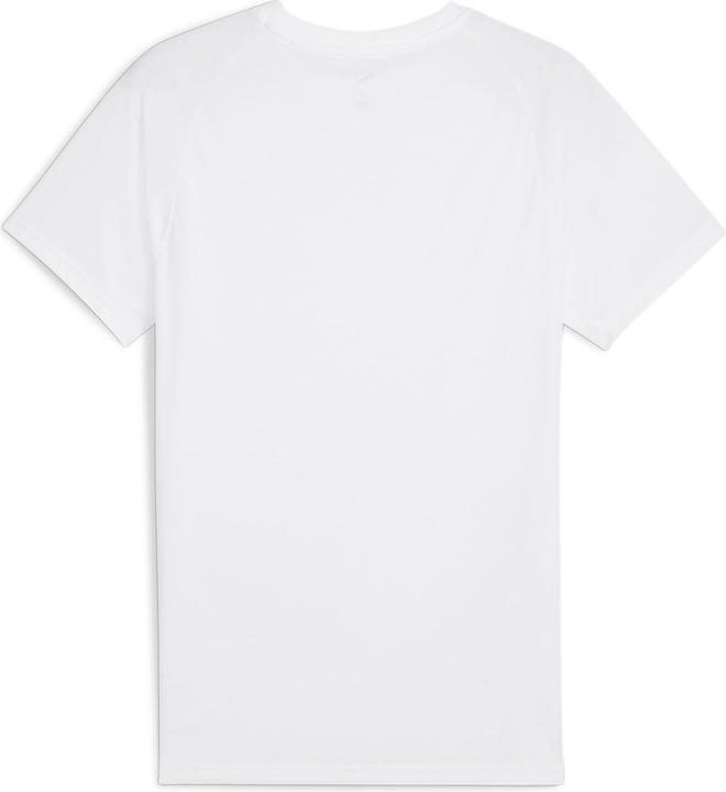 Actual product image Puma EVOSTRIPE Tea (XXL)