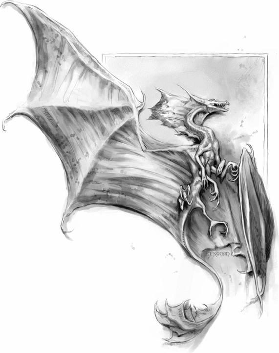 Produktbild Lady Trents Memoiren: Die Naturgeschichte der Drachen (Deutsch, Brennan, Marie, 2018)