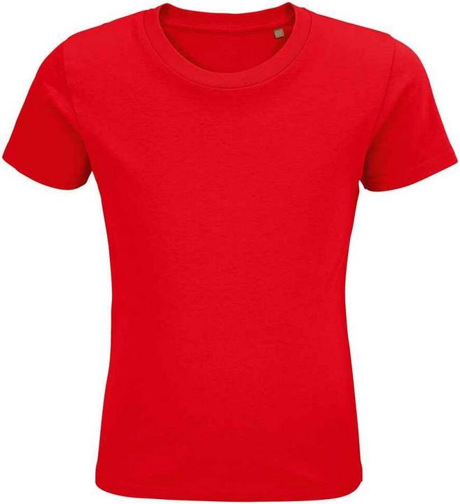Sols Childrens/Kids Pioneer Organic T-Shirt