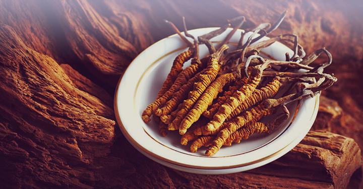 Image du produit Zimmerli Adaptogene Poudre de Cordyceps (BIO) (1 pièce(s), Poudre, 100 g)
