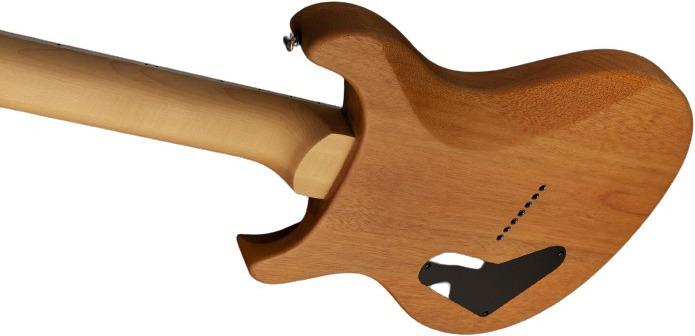 Image du produit PRS SE Mark Holcomb SVN (Guitare électrique, Érable, acajou)
